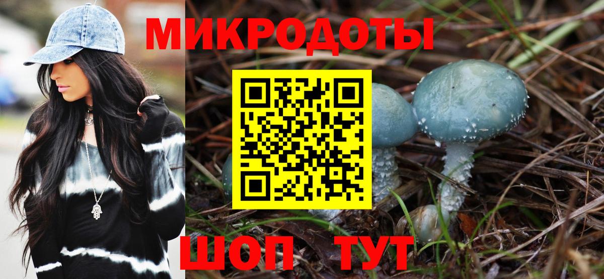 Зеленокумск  Псилоцибиновые грибы мицелий  Вход с VPN 