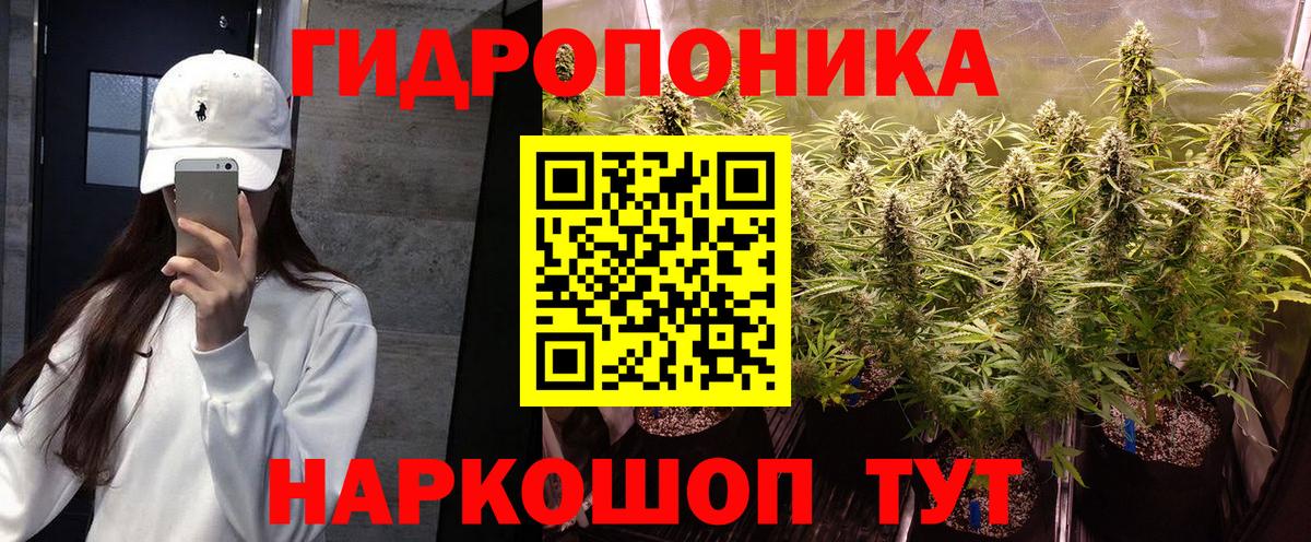 Зеленокумск  Канабис конопля  Канабис индика  Канабис конопля  Вход с VPN 